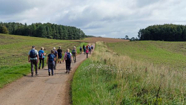 Walking on Bredon